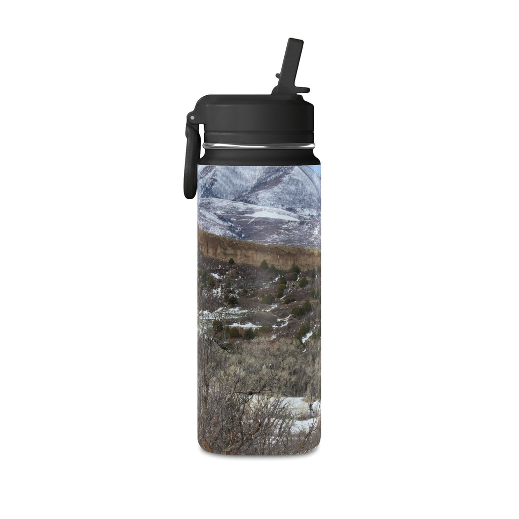 Mini Water Bottle, 20oz